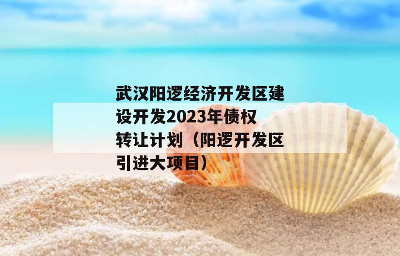 武汉阳逻经济开发区建设开发2023年债权转让计划（阳逻开发区引进大项目）