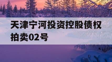 天津宁河投资控股债权拍卖02号