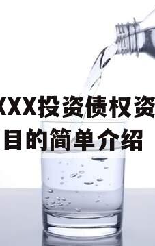 XXXX投资债权资产项目的简单介绍