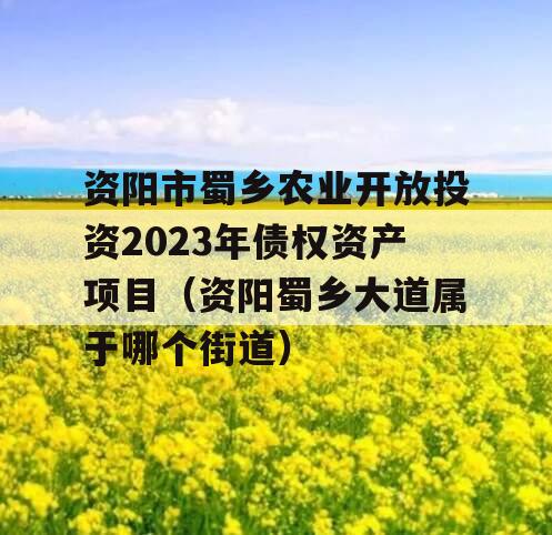 资阳市蜀乡农业开放投资2023年债权资产项目（资阳蜀乡大道属于哪个街道）