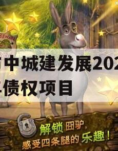 市中城建发展2023年债权项目