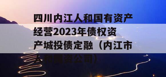 四川内江人和国有资产经营2023年债权资产城投债定融（内江市人和国资公司）
