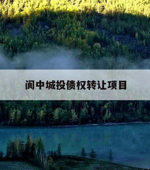 阆中城投债权转让项目