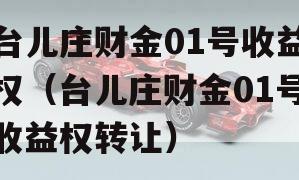 台儿庄财金01号收益权（台儿庄财金01号收益权转让）