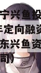 山东济宁兴鱼投资建设2023年定向融资计划（山东兴鱼资本投资有限公司）
