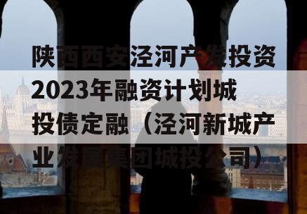 陕西西安泾河产发投资2023年融资计划城投债定融（泾河新城产业发展集团城投公司）