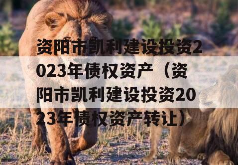 资阳市凯利建设投资2023年债权资产（资阳市凯利建设投资2023年债权资产转让）