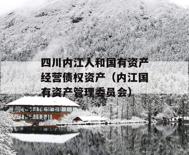 四川内江人和国有资产经营债权资产（内江国有资产管理委员会）