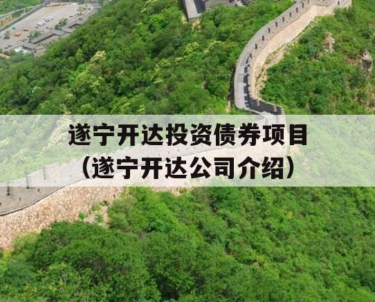 遂宁开达投资债券项目（遂宁开达公司介绍）