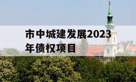 市中城建发展2023年债权项目