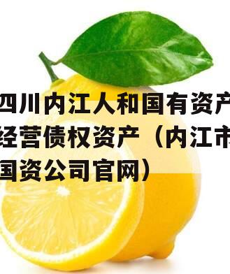 四川内江人和国有资产经营债权资产（内江市国资公司官网）