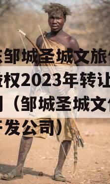 山东邹城圣城文旅信托收益权2023年转让计划（邹城圣城文化旅游开发公司）