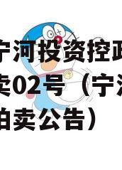 天津宁河投资控政信债权拍卖02号（宁河区法院拍卖公告）