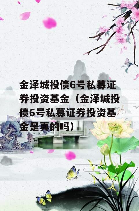 金泽城投债6号私募证券投资基金（金泽城投债6号私募证券投资基金是真的吗）