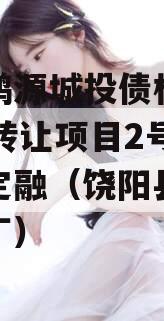 饶阳鸿源城投债权2023年转让项目2号城投债定融（饶阳县鸿诚服装厂）