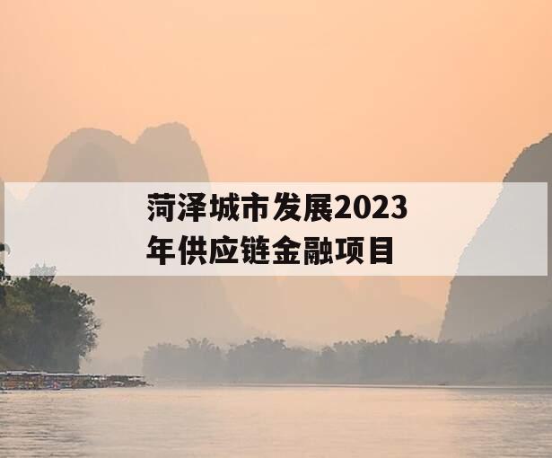 菏泽城市发展2023年供应链金融项目