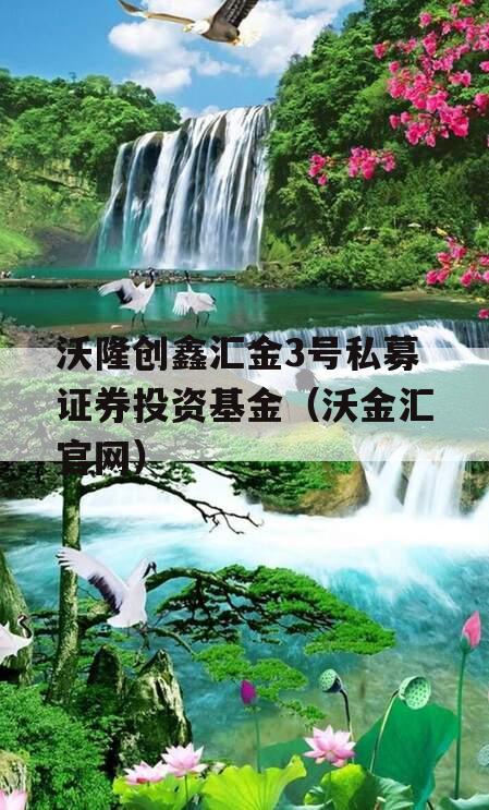 沃隆创鑫汇金3号私募证券投资基金（沃金汇官网）