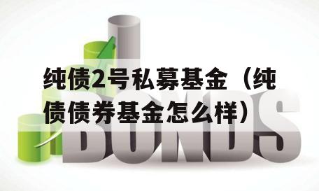纯债2号私募基金（纯债债券基金怎么样）