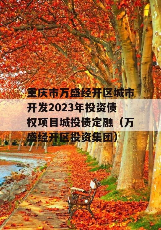 重庆市万盛经开区城市开发2023年投资债权项目城投债定融（万盛经开区投资集团）