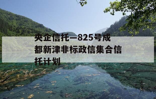 央企信托—825号成都新津非标政信集合信托计划