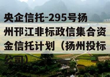 央企信托-295号扬州邗江非标政信集合资金信托计划（扬州投标公司）