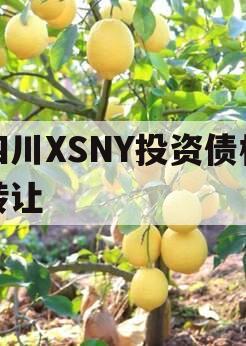 四川XSNY投资债权转让