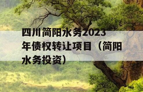 四川简阳水务2023年债权转让项目（简阳水务投资）