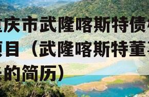 重庆市武隆喀斯特债权项目（武隆喀斯特董事长的简历）