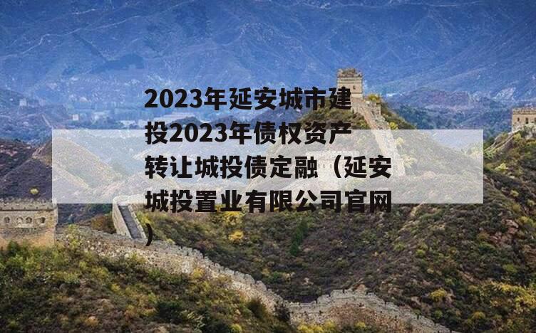 2023年延安城市建投2023年债权资产转让城投债定融（延安城投置业有限公司官网）