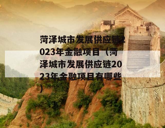 菏泽城市发展供应链2023年金融项目（菏泽城市发展供应链2023年金融项目有哪些）