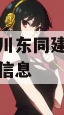 关于四川东同建设债权资产的信息