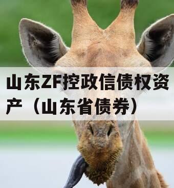 山东ZF控政信债权资产（山东省债券）