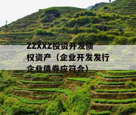 ZZXXZ投资开发债权资产（企业开发发行企业债券应符合）
