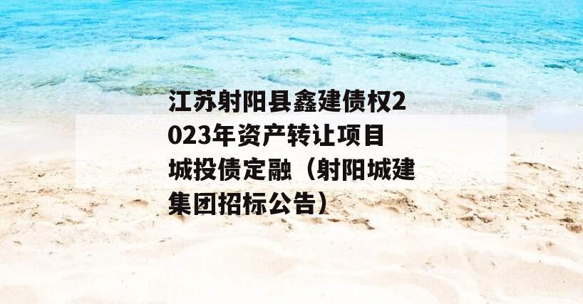江苏射阳县鑫建债权2023年资产转让项目城投债定融（射阳城建集团招标公告）