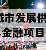 菏泽城市发展供应链2023年金融项目