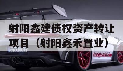 射阳鑫建债权资产转让项目（射阳鑫禾置业）