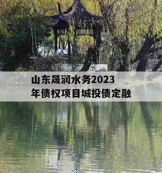 山东晟润水务2023年债权项目城投债定融
