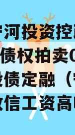 天津宁河投资控政信2023年债权拍卖02号城投债定融（宁河投资控政信工资高吗）
