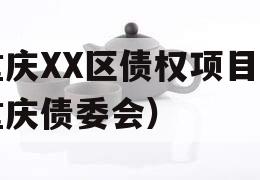 重庆XX区债权项目（重庆债委会）