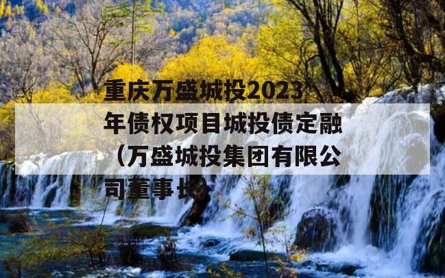重庆万盛城投2023年债权项目城投债定融（万盛城投集团有限公司董事长）