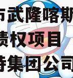 重庆市武隆喀斯特2023年债权项目（武隆喀斯特集团公司官网）