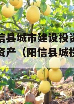 阳信县城市建设投资债权资产（阳信县城投公司）