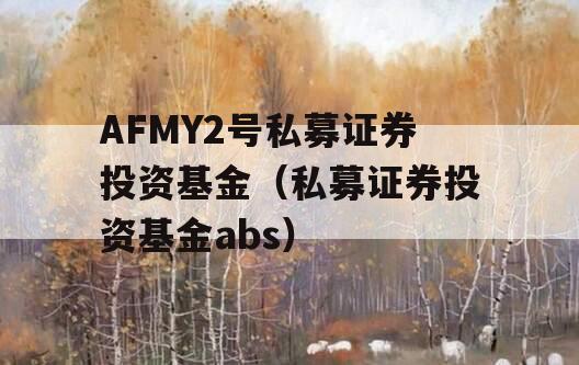 AFMY2号私募证券投资基金（私募证券投资基金abs）