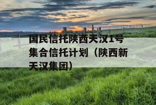 国民信托陕西天汉1号集合信托计划（陕西新天汉集团）