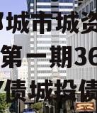 山东邹城市城资控股2023年第一期364天CNY债城投债定融
