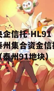 大央企信托-HL91号泰州集合资金信托计划（泰州91地块）