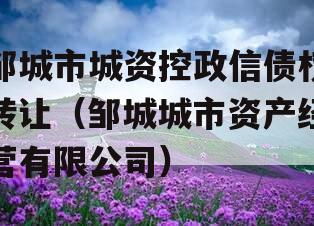 邹城市城资控政信债权转让（邹城城市资产经营有限公司）
