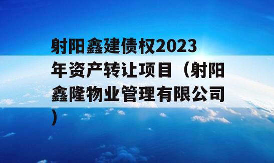 射阳鑫建债权2023年资产转让项目（射阳鑫隆物业管理有限公司）