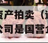 四川遂宁广利工业发展特定资产拍卖（遂宁市广利公司是国营企业吗）