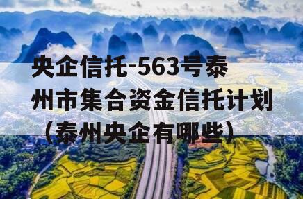 央企信托-563号泰州市集合资金信托计划（泰州央企有哪些）